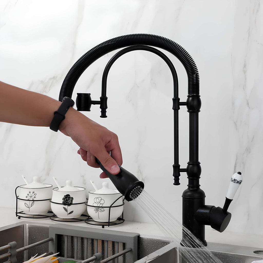 Brass kitchen mixer with tall spring and flexible dual-spray sprayer