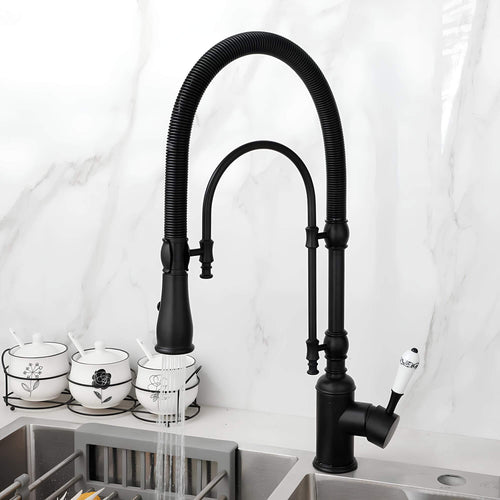 Brass kitchen mixer with tall spring and flexible dual-spray sprayer