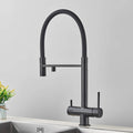 Kitchen faucet with pull-down sprayer and filtered water outlet