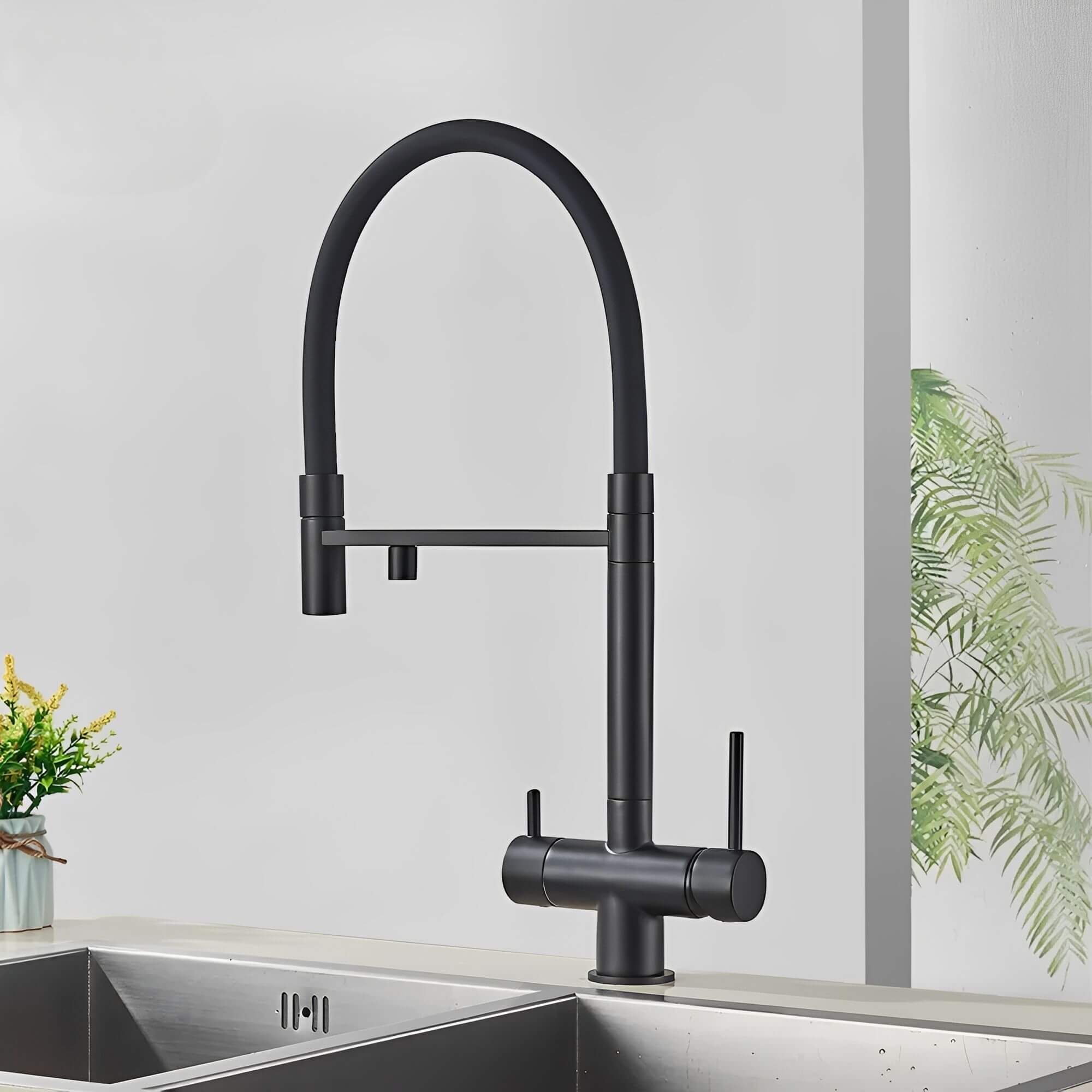 Kitchen faucet with pull-down sprayer and filtered water outlet