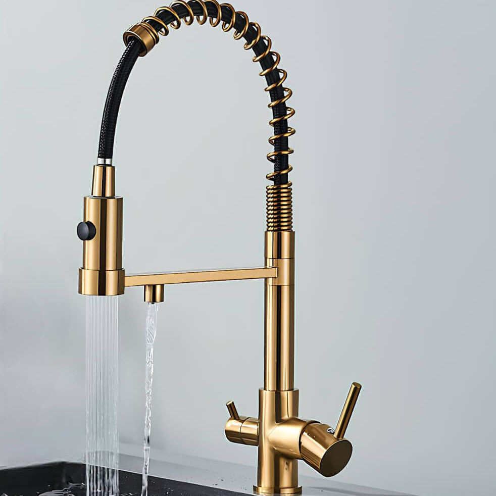 Kitchen faucet with dual handles and dedicated filtered water outlet
