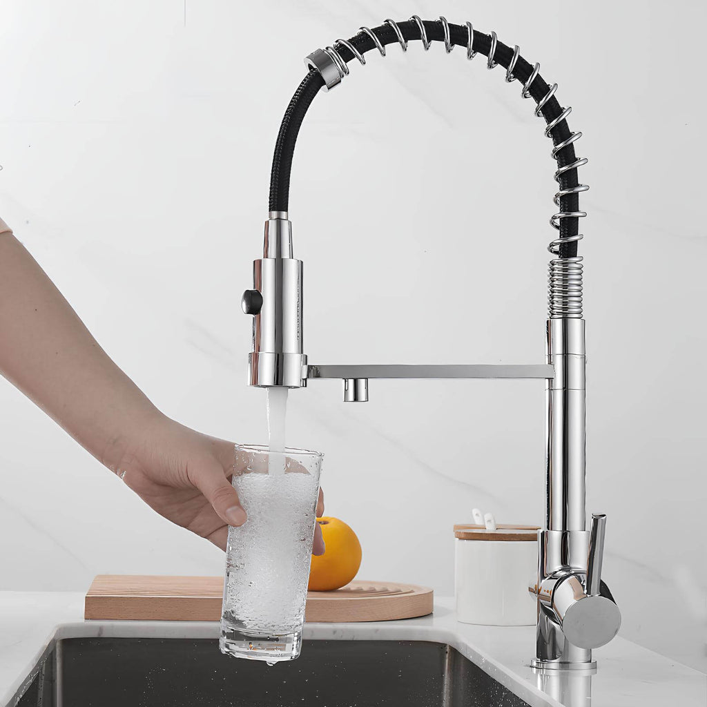 Kitchen faucet with dual handles and dedicated filtered water outlet