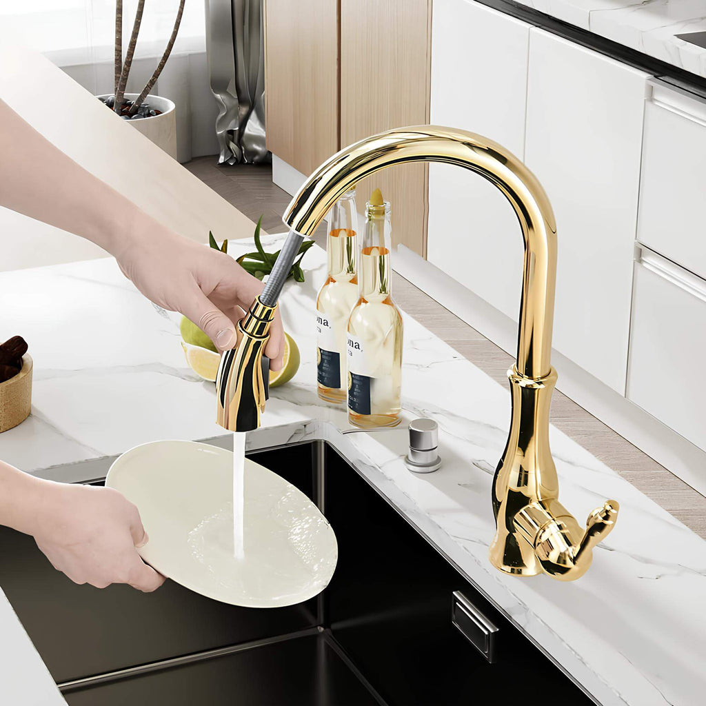 Premium kitchen faucet with pull-down dual spray and classic design
