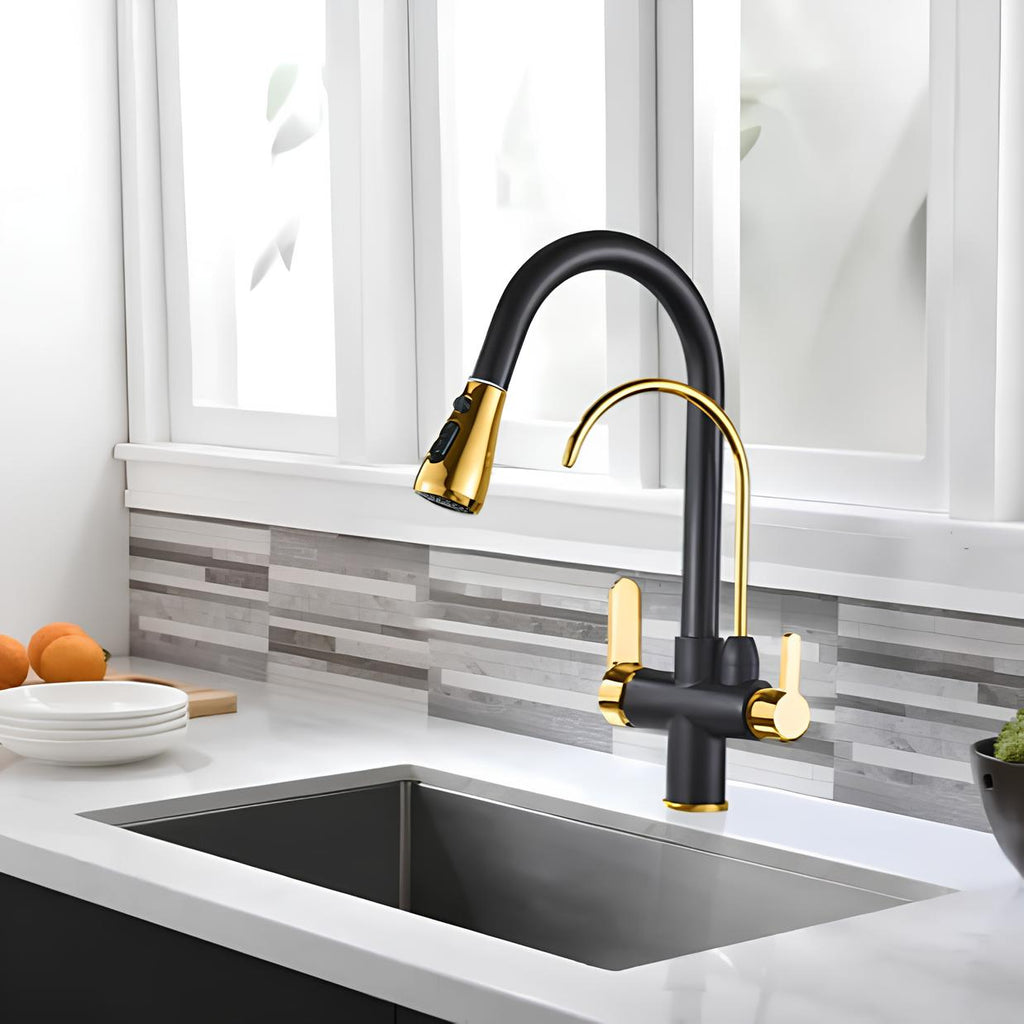 Multifunction kitchen faucet with pull-down sprayer and filtered water outlet