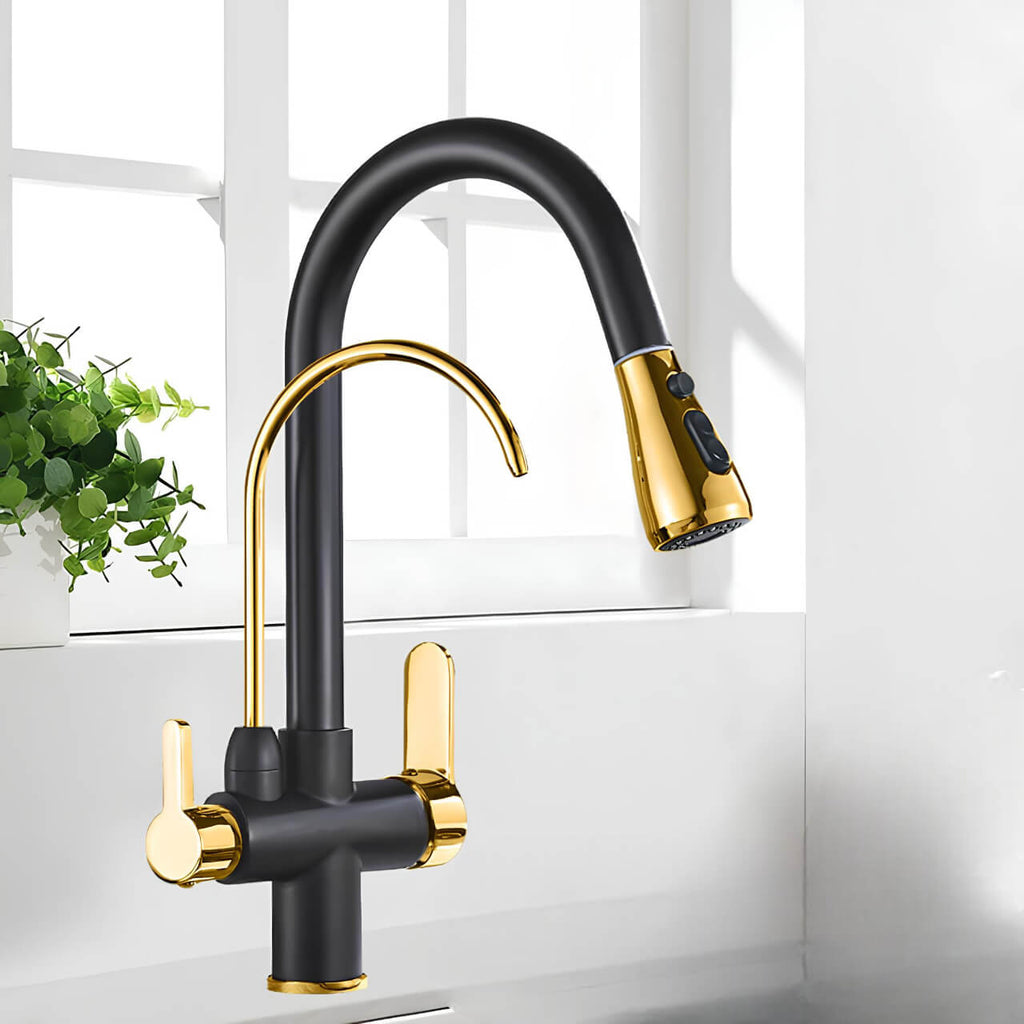 Multifunction kitchen faucet with pull-down sprayer and filtered water outlet