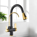Multifunction kitchen faucet with pull-down sprayer and filtered water outlet